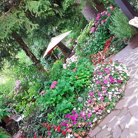 Albergo La Baita Corfino エクステリア 写真