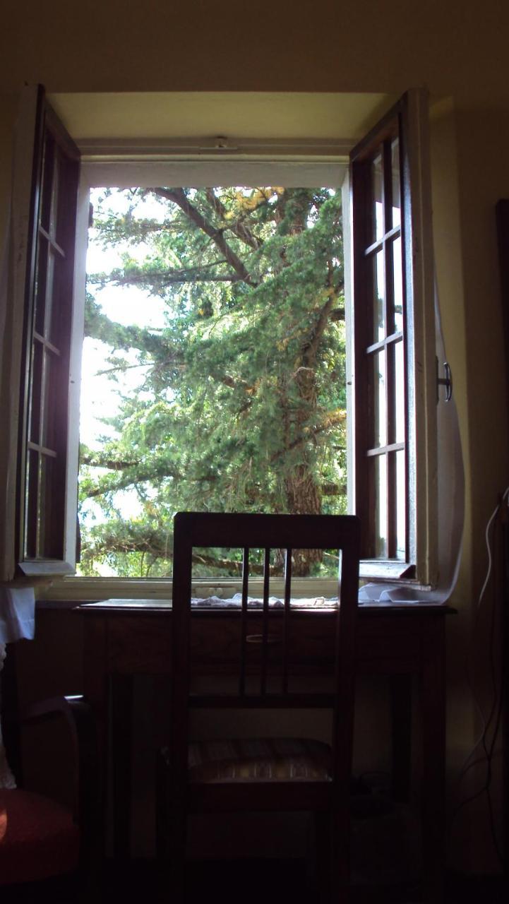Albergo La Baita Corfino 部屋 写真